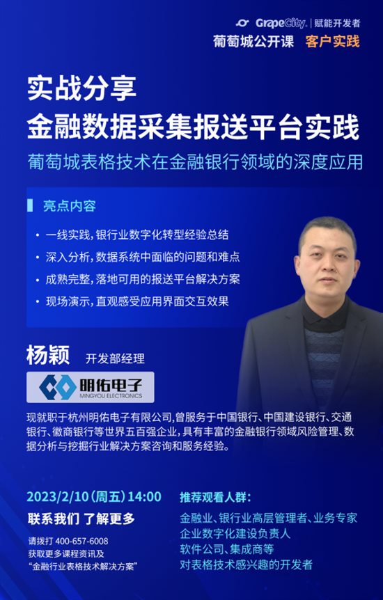 葡萄城表格技术解决方案——金融行业