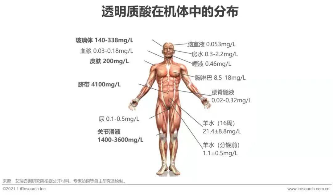 权威认可！哈佛大学证实口服玻尿酸对健康有益